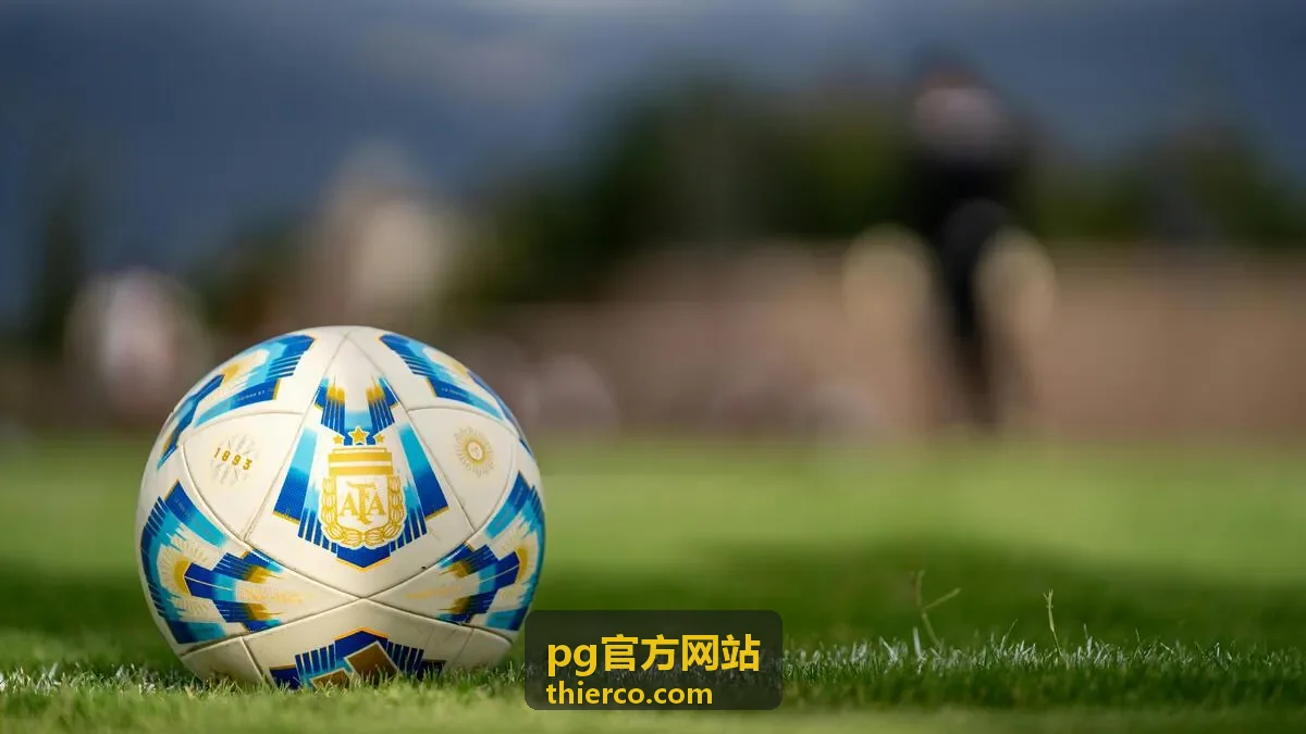pg官方网站高清播放体验之网络自检步骤示意