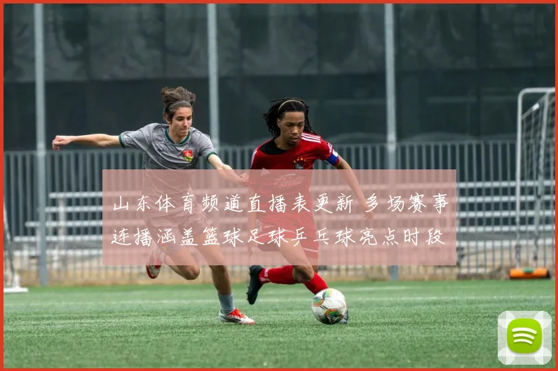 山东体育频道直播表更新 多场赛事连播涵盖篮球足球乒乓球亮点时段公布