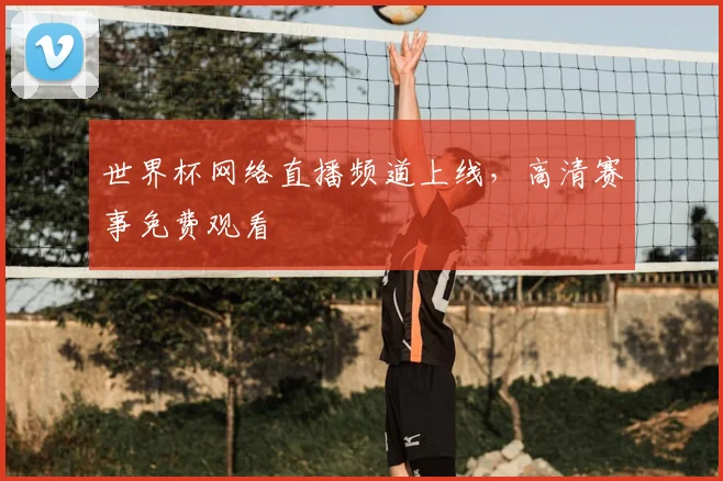 世界杯网络直播频道上线,高清赛事免费观看