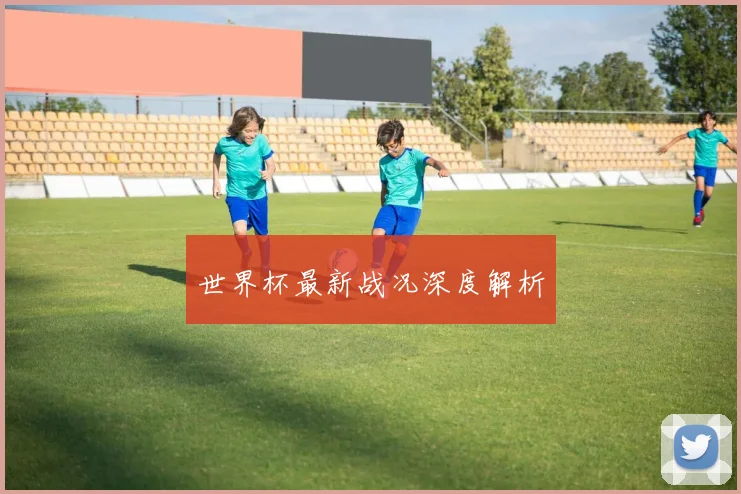 世界杯最新战况深度解析