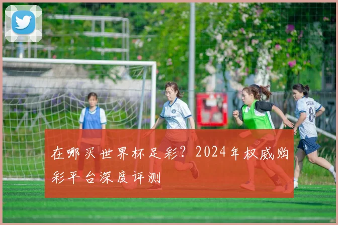 在哪买世界杯足彩？2024年权威购彩平台深度评测