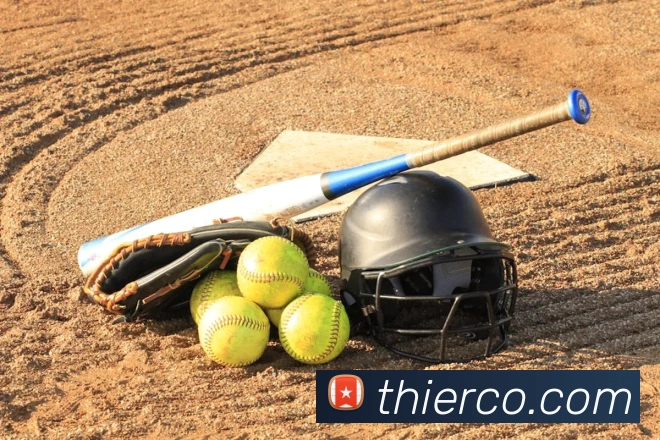 emc易倍官网登录平台生态图